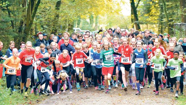 Crosslauf in Wallinghausen am 27. Januar