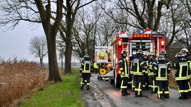 Auto stößt frontal gegen Baum