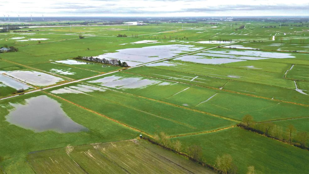 Aus der Vogelperspektive wird das Ausmaß deutlich: Wie hier im Stapelmoorer Hammrich steht viel Grünland großflächig unter Wasser.  © Foto: Falk Lindemann