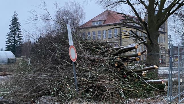 Baustellen für Wunderline