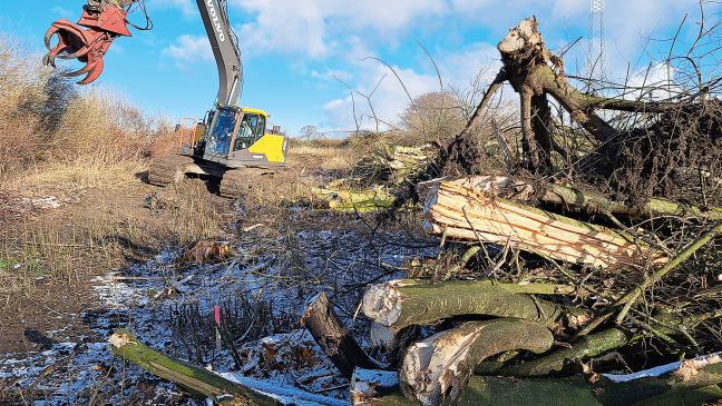 Startschuss für Polder-Bau im Süderhammrich