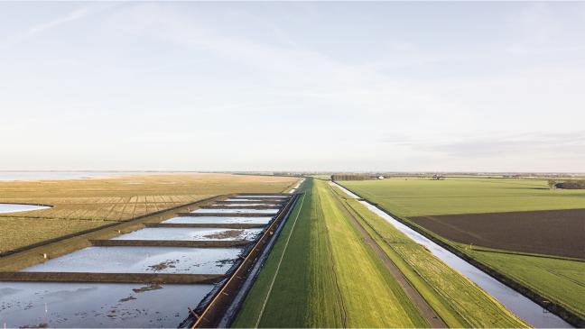 Nachbarn machen’s vor