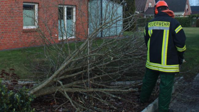 Sturm-Einsatz in Möhlenwarf