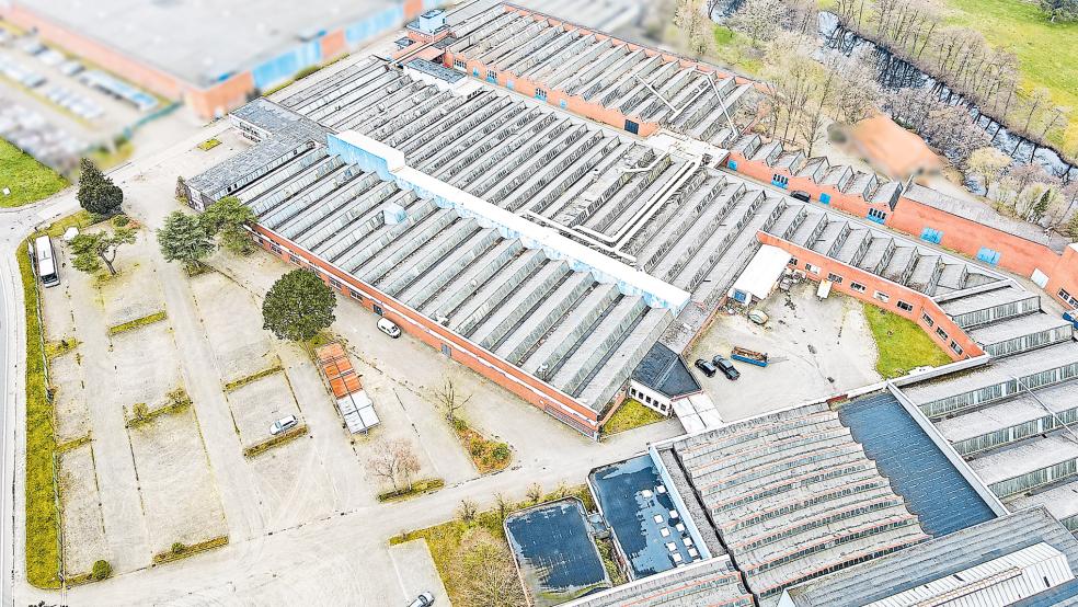 Rund 75000 Quadratmeter des ADO-Geländes in Aschendorf groß ist das Areal, für das jetzt ein Käufer gefunden wurde. Ralf Schulte vom Bauunternehmen Schulte aus Haselünne erläutert die Pläne.  © Fotos: Fehrmann Immobilien, Mammes