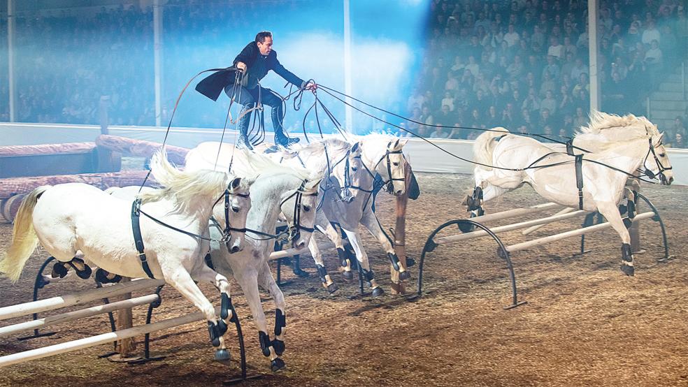 Der Auftritt von Lorenzo war einer der Höhepunkt des Abends. Auf dem Rücken zweier Pferde stehend preschte er durch die Halle. Aber auch sonst wurde den zahlreichen Besuchern des Galaabends viel geboten.  © Foto: Gleich