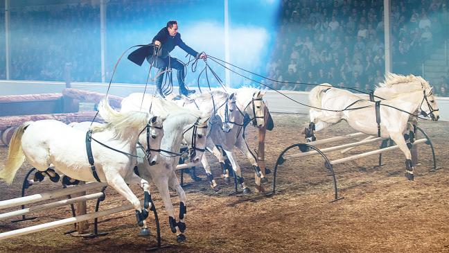 Fliegender Franzose sorgt für Action