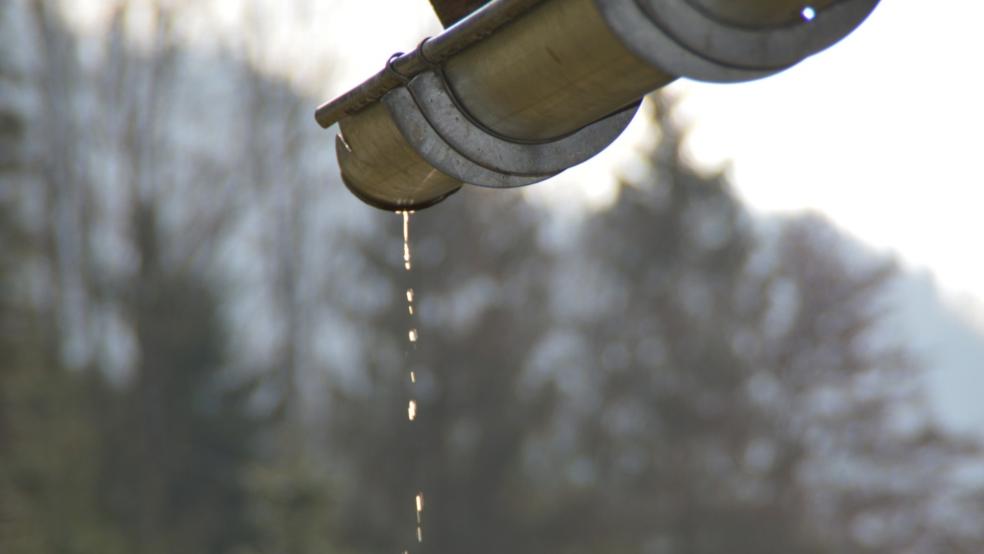 »Viel zu mild« war der Dezember, so Jannes Wessels. Und es hat viel geregnet. © Pixabay