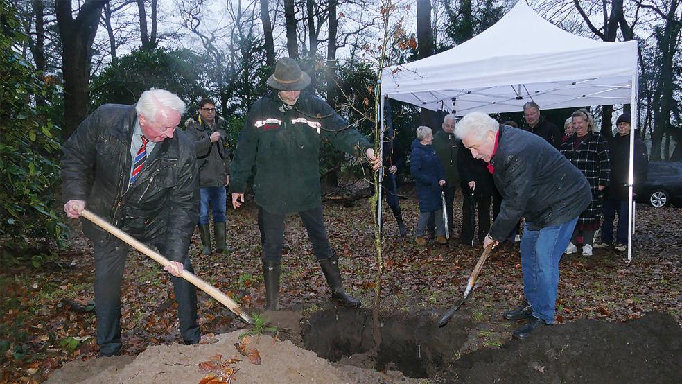 Rico Mecklenburg (rechts) griff selbst zur Schaufel, um die Eiche einzupflanzen.  © Foto: Jürgens