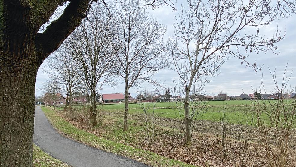 Auf der Fläche zwischen der Boenster Hauptstraße und der Molkereistraße in Wymeer entsteht nicht nur ein Baugebiet, sondern auch der neue Dorfladen.  © Foto: Hanken