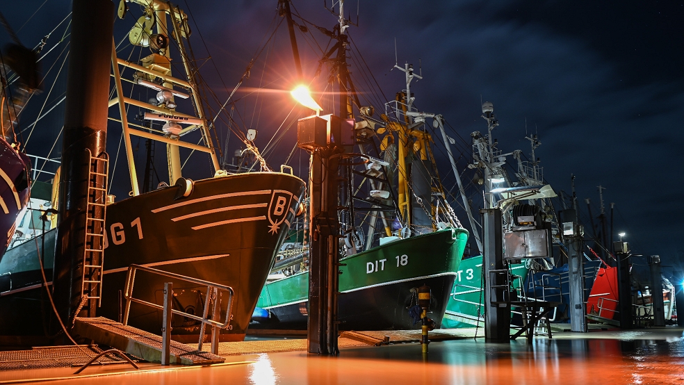 Die Ditzumer Krabbenfischer fürchten wie viele ihrer Berufskollegen um ihre Existenz, hier ein nächtliches Bild der Liegeplätze der Fischkutter im Ditzumer Hafen. © dpa/Penning