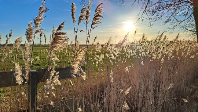 Trotz starken Niederschlags ließ sich die Sonne recht häufig blicken