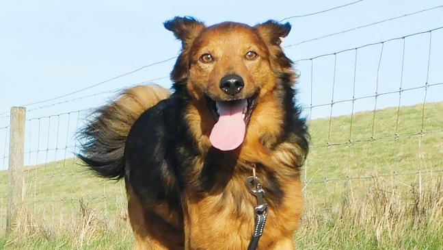 »Barti« muss noch viel lernen