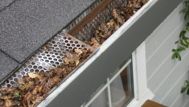 91-Jähriger wird teurer Schmuck gestohlen