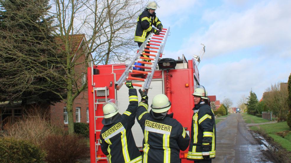 Die Feuerwehr Holthusen rückte zu einer "Tierrettung" am "Alter Sandweg" aus. © J. Rand/Feuerwehr