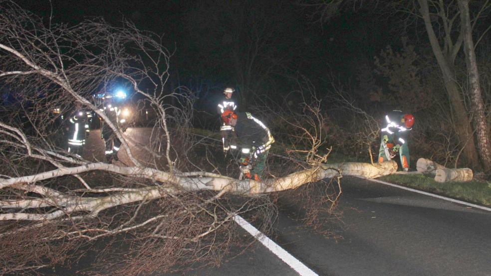Auf der K 27 in Stapelmoor musste ein Baum zersägt werden, der auf die Straße zu kippen drohte. © J. Rand/Feuerwehr