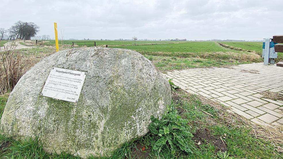 Blick in den Hammrich südlich von Stapelmoor mit Blick auf Vellage und Halte. Hier soll der neue Windpark entstehen. Fünf Anlagen sind geplant. Zunächst einmal.  © Foto: Hanken