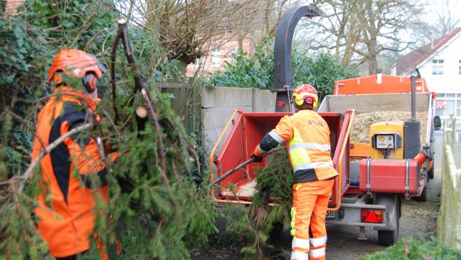 Bauhof beseitigt Baum am Schulweg