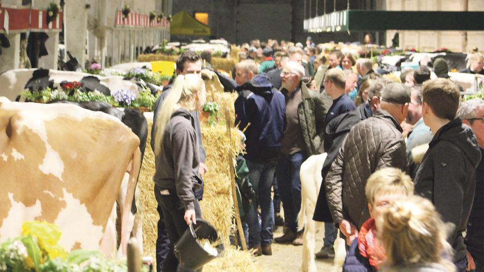 Am Mittwoch können in der Ostfrieslandhalle wieder die schönsten Kuhe Ostfrieslands bewundert werden.  © Archivfoto: Berents