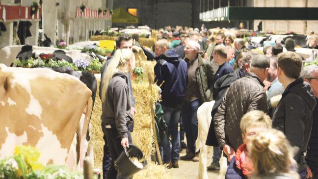 Kür der »Miss Ostfriesland«