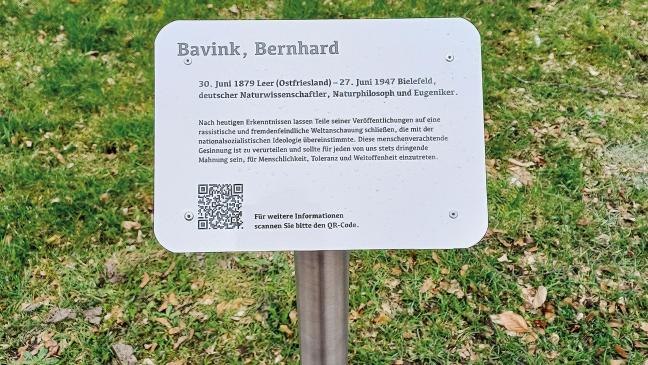 Bavink-Info besser sichtbar