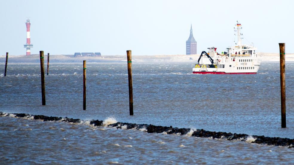 Für den Posten auf dem Leuchtturm der Insel sind rund 1100 Bewerbungen bei der Gemeinde Wangerooge eingegangen. © Dittrich (dpa)