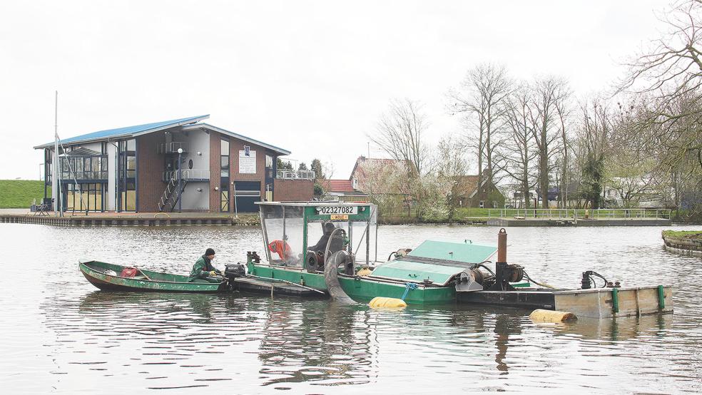 Der Auftrag für die Ausbaggerung des Hafens der Stadt Weener wurde wieder an die Firma Kurstjens vergeben. Aktuell sind die Mitarbeiter fleißig dabei, das Gewässer auszubaggern.  © Foto: Busemann