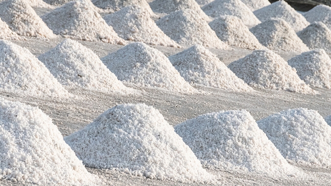 Unternehmen will Salz in Bunderhee abbauen