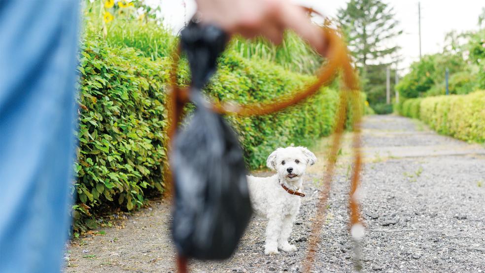 Immer mehr Hundehalter kümmern sich nicht um die Entsorgung der Hinterlassenschaften der Vierbeiner.  © Symbolfoto: dpa