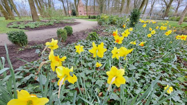Ein friedvolles und hoffnungsfrohes Osterfest