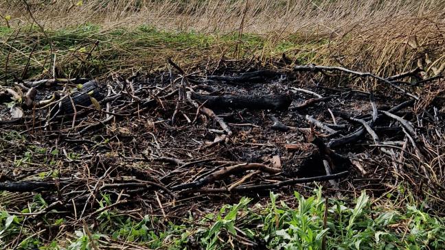 Haufen Unrat in Flammen