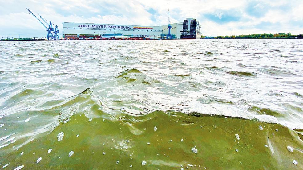Finanziell noch immer in rauer See ist die Papenburger Meyer Werft.  © Foto: Assies