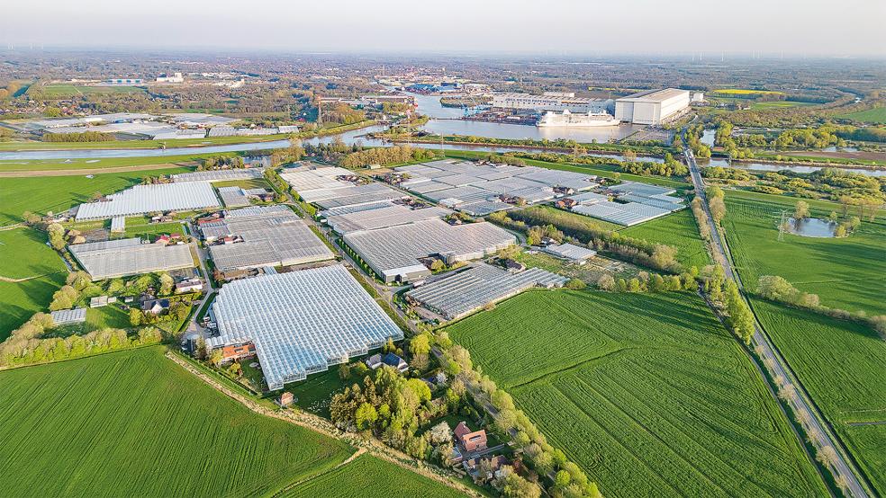Die zwölf Familienbetriebe in der Gartenbau-Siedlung in Halte (im Vordergrund) benötigen viel Energie, um ihre Gewächshäuser zu beheizen. Im Gegensatz zu den Völlener Gärtnern auf der anderen Seite der Ems werden sie nach aktuellem Stand wohl nicht an ein neues Kraft-Wärme-Kopplungssystem im Rahmen des Projekts »Hafenwärme Papenburg« angeschlossen.  © Foto: Bruins