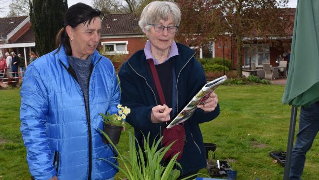 Vom Schwimmen über Tanzen bis zur 