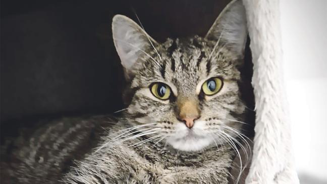 »Elsa« hat Wasser sehr gerne