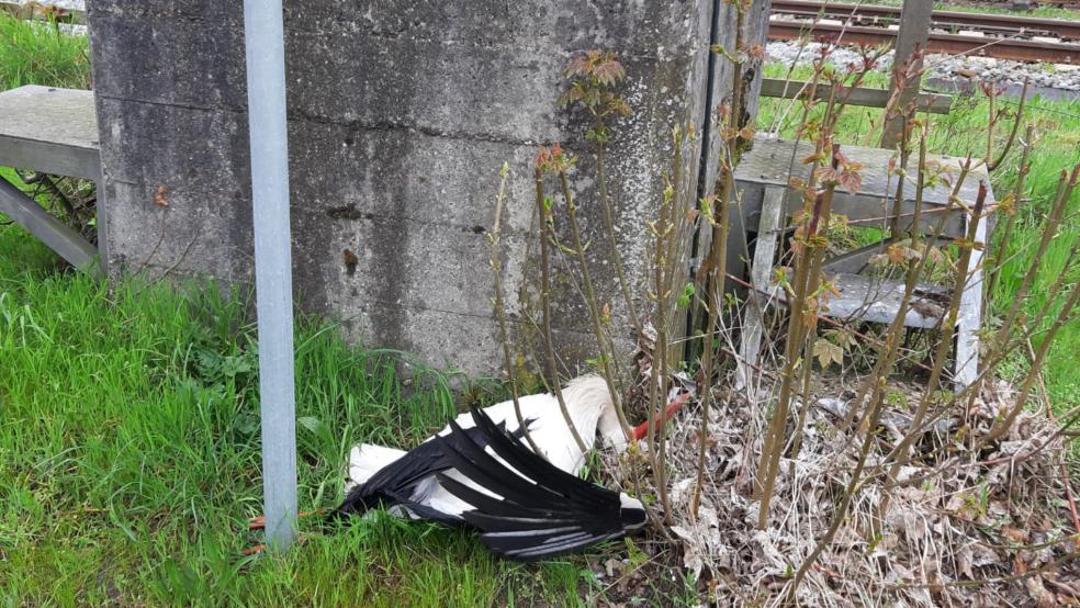 Am Betonfuß dieses Strommastes an der Bahnlinie in Aschendorf lag der Kadaver. © Behnes/privat