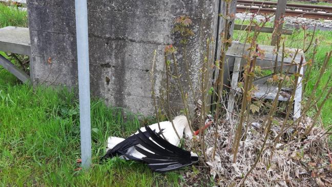 Adebar-Kadaver lag an Bahnlinie