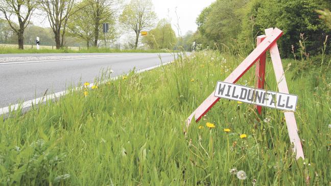 Kreisstraße 27 ist ein Unfallschwerpunkt
