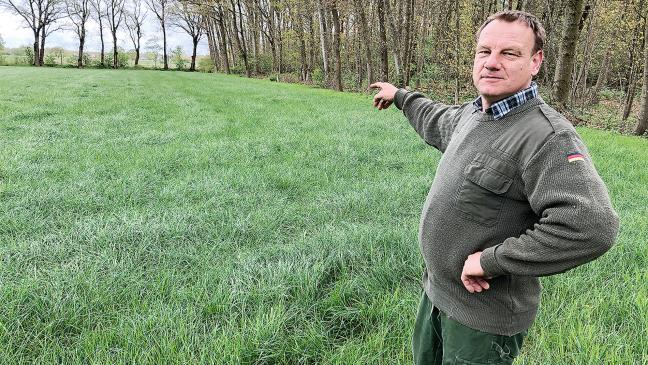 Wolf auf Durchreise?