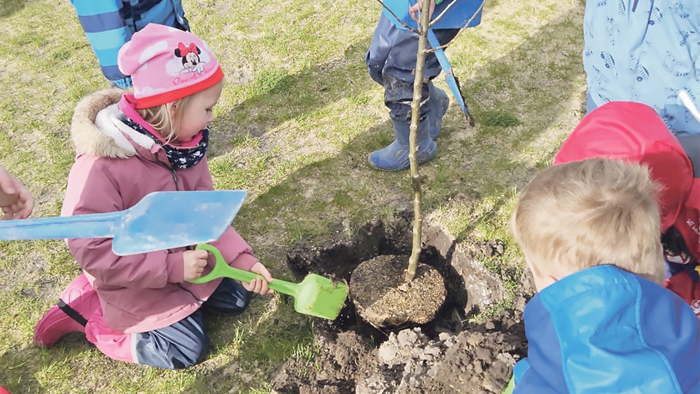 MIt ihren bunten Schaufeln füllten die Kinder die Pflanzlöcher mit den gesetzten Bäumen mit Erde.  © Foto: privat