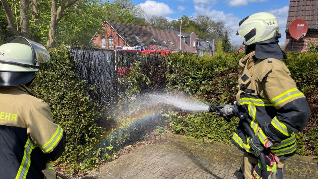 Nach dem Unkraut brannte auch die Hecke