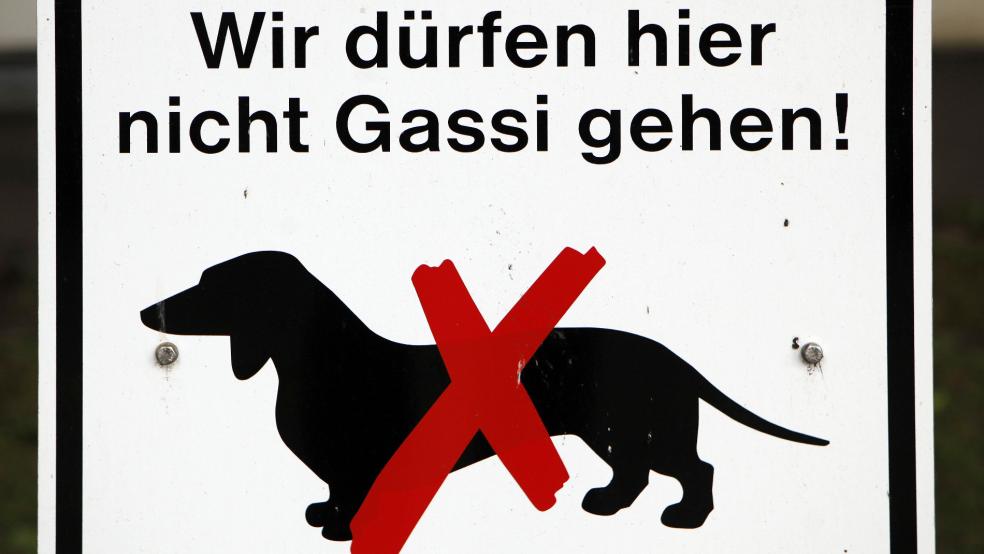 Bis die eingesetzten Beamten der Emder Polizei dem Haustier schließlich habhaft werden konnten, entstanden mehrfach Gefahrenstellen im genannten Bereich. © Woitas (dpa/Symbolfoto)