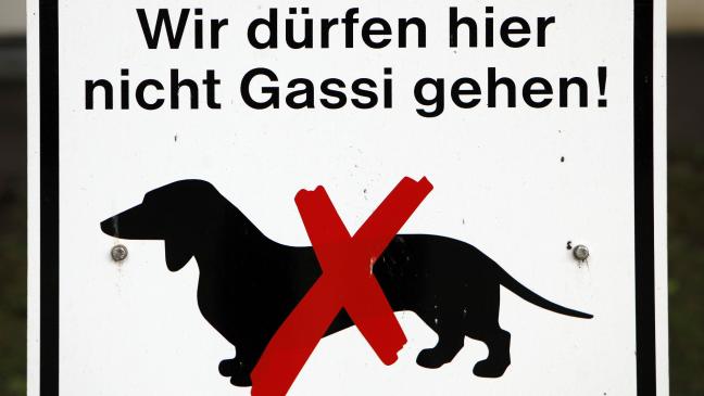 Herrenloser Hund auf der A 31 hält Polizei in Atem