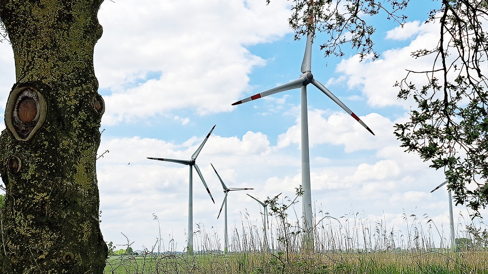 Zu den ersten Windparks, die im Rheiderland gebaut wurden, zählt der Windpark in Holtgaste.  © Archivfoto: Szyska