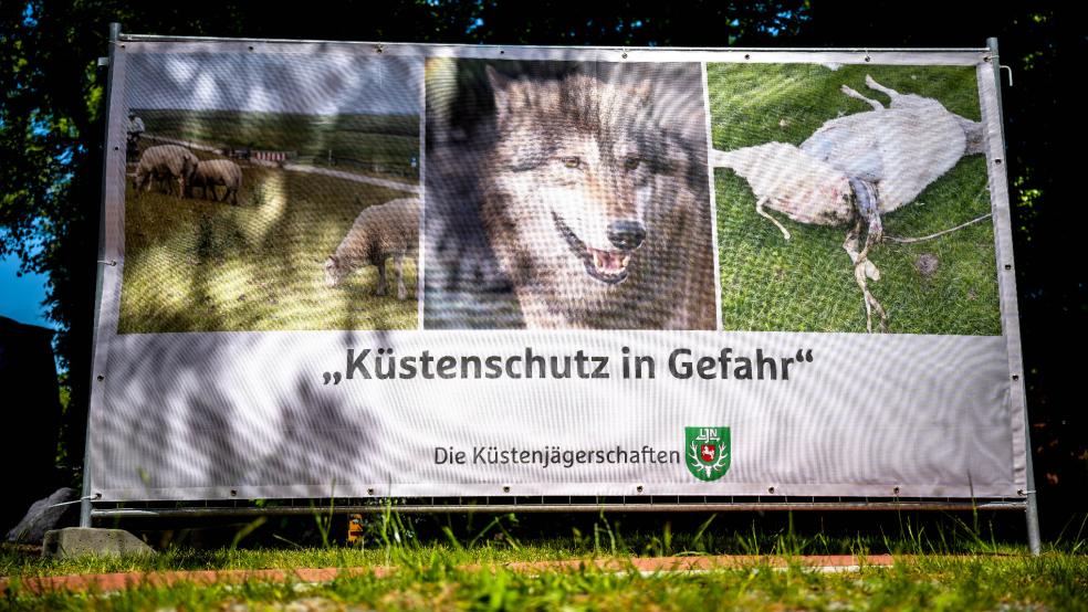 Die Jägerschaften sehen den Küstenschutz durch die zunehmenden Wolfspopulationen gefährdet. © Foto: dpa/Schuldt