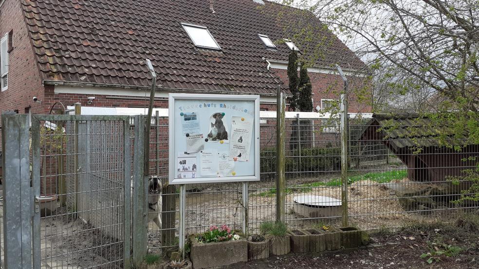 Unerwarteter Geldsegen steht dem Tierschutz Rheiderland ins Haus. Doch reicht er aus, um den angeschlagenenen Verein finanziell dauerhaft zu sichern?  © Archivfoto: Berents