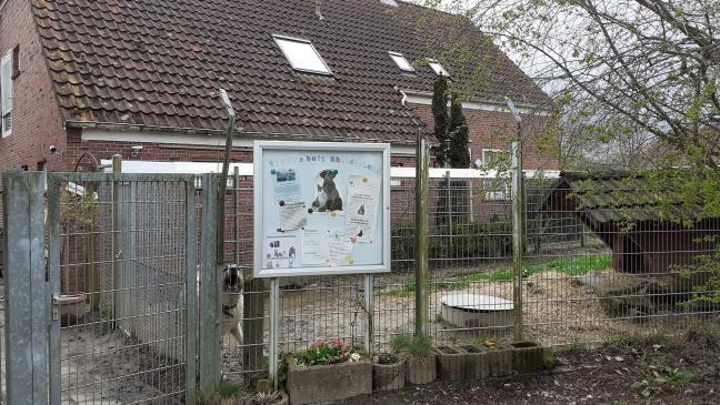 Rettet Erbe den Tierschutzverein?