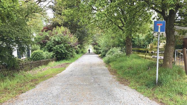 Schlagloch-Landschaft im Vereinsweg beseitigt