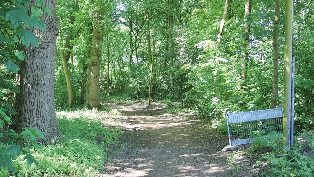 Stapelmoorer Park in Kürze wieder offen