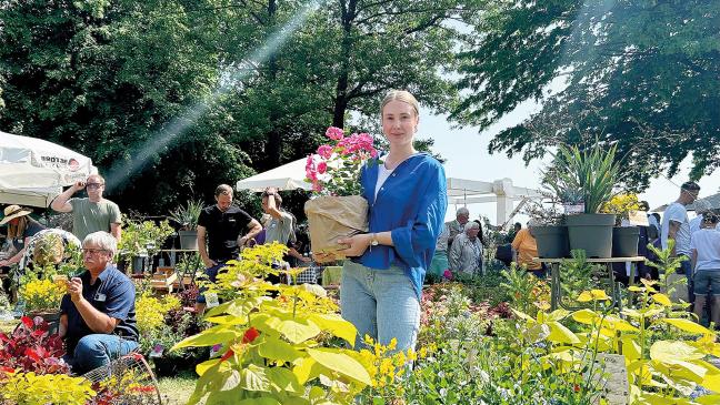 Blumenmeer am Burgturm