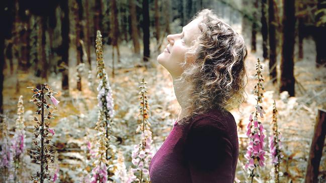 Folk-Hochkaräter in Holtland